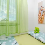 Apartment Branislava *