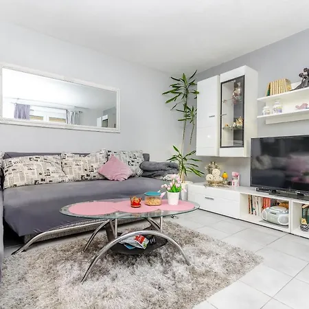 Branislava 로고즈니차