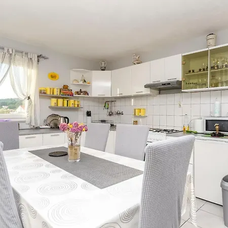 Branislava * 로고즈니차