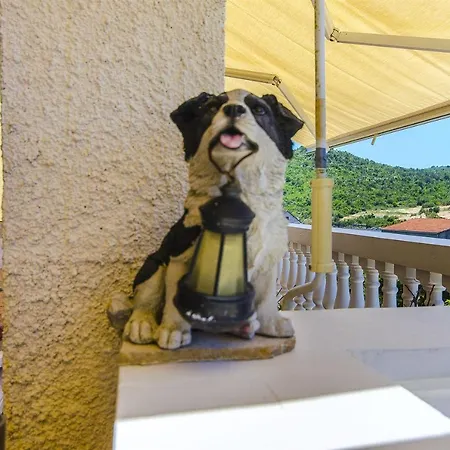 Appartement Branislava *