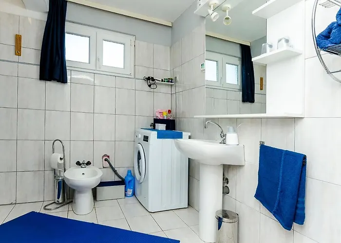 Branislava רוגוזניצה